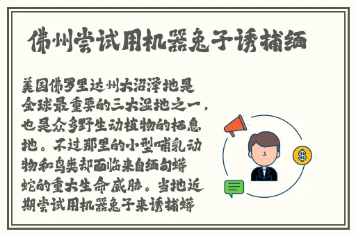 欧洲美**乱又伦AV影片